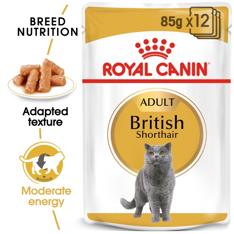 Royal Canin British Shorthair Adult Wet Cat Food 85G 3 download 5 1