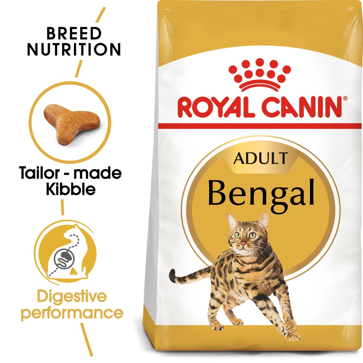 Royal Canin Bengal Adult Dry Cat Food 2 download