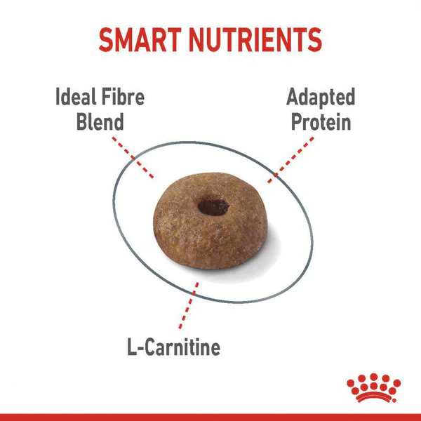 Royal Canin Light Weight Care Adult Dry Cat Food 3 Royal Canin Feline Care Nutrition Light Weight Care 2