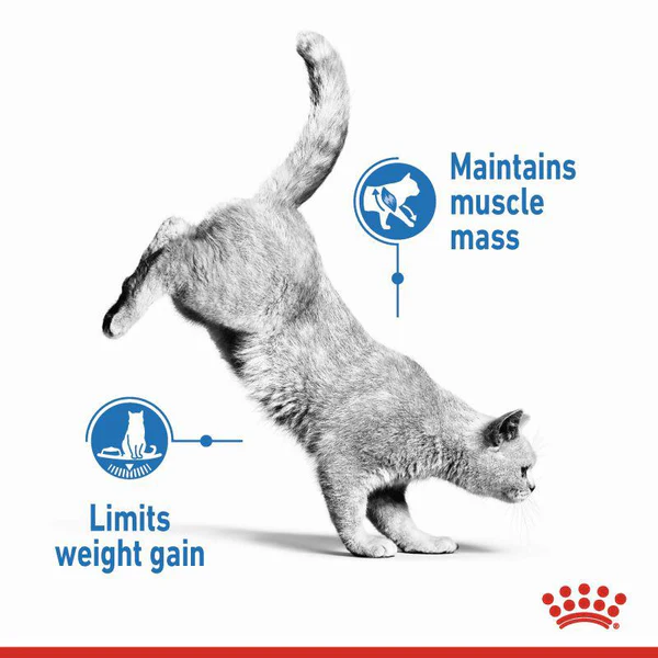 Royal Canin Light Weight Care Adult Dry Cat Food 4 Royal Canin Feline Care Nutrition Light Weight Care 4