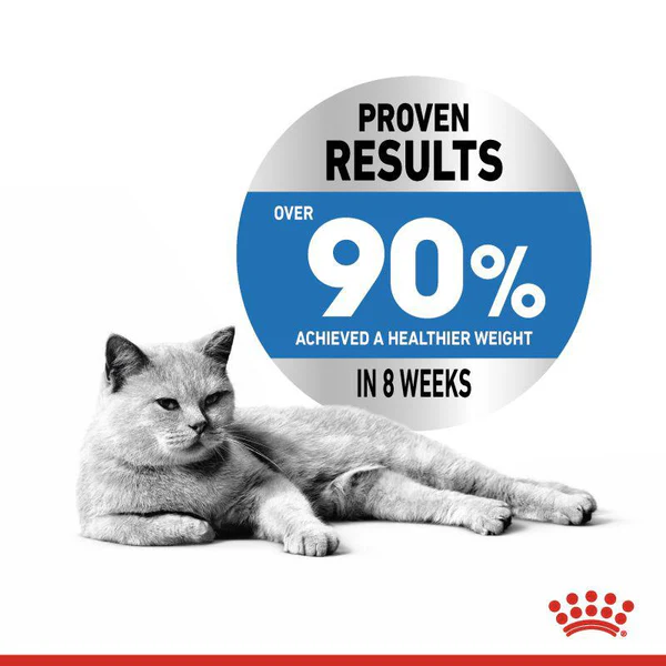 Royal Canin Light Weight Care Adult Dry Cat Food 2 Royal Canin Feline Care Nutrition Light Weight Care 5