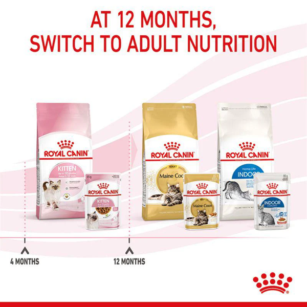 Royal Canin Kitten Gravy Wet Food 8 Royal Canin Feline Health Nutrition Kitten Gravy Wet Food Pouch 85g 8 540x 2x 44db55fe 5891 45ea b9aa 835d6e8ee97f