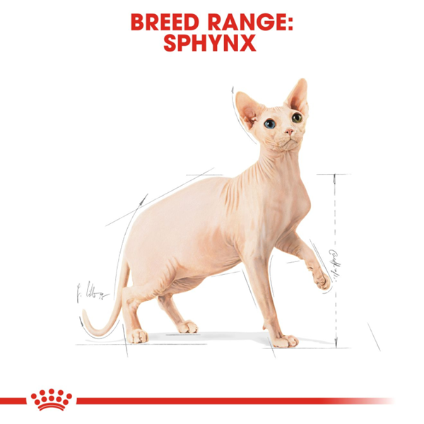 Royal Canin Sphynx Adult Dry Cat Food 2KG 5 download 1 15