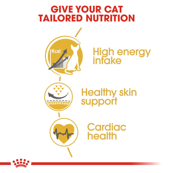 Royal Canin Sphynx Adult Dry Cat Food 2KG 3 download 2 10