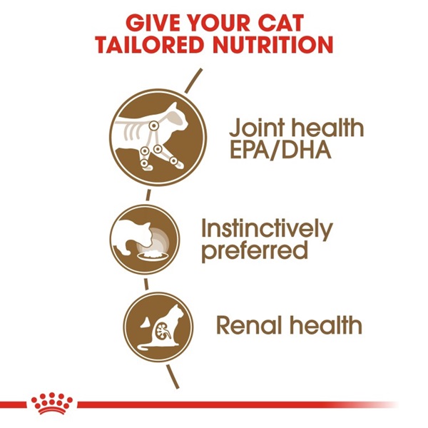 Royal Canin Ageing 12+ Adult Gravy Wet Cat Food 3 download 2 16
