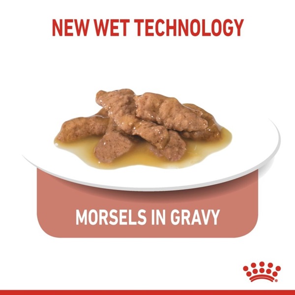 Royal Canin Indoor Sterilised 7+ in Gravy Cat Wet Food 3 download 2 29