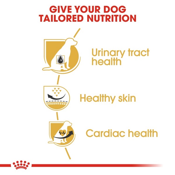 Royal Canin Dalmatian Adult Dry Dog Food 12KG 3 download 2 42
