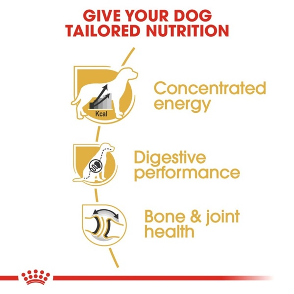 Royal Canin Great Dane Adult Dog Dry Food12 KG 3 download 2 49