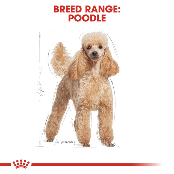 Royal Canin Poodle Adult Dry Dog Food 1.5kg 3 download 2 53