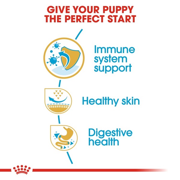 Royal Canin Pug Puppy Dry Food 1.5kg 4 download 2 55