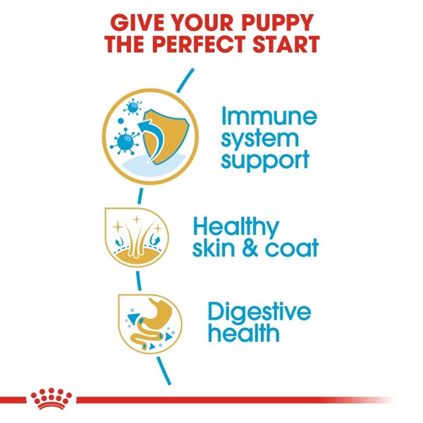 Royal Canin Shih Tzu Puppy Dry Food 1.5kg 4 download 2 58