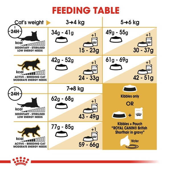 Royal Canin British Shorthair Adult Dry Cat Food 5 download 2