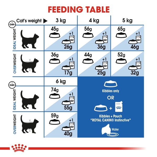 Royal Canin Home Life Indoor 27 Adult Dry Cat Food 5 download 3 16