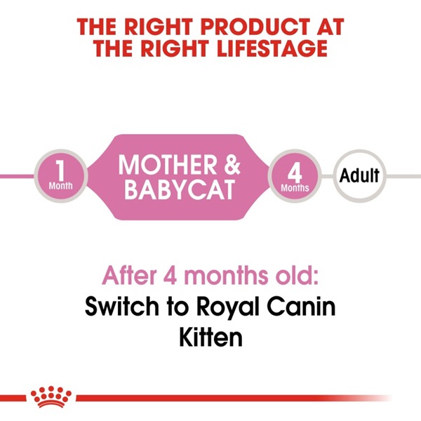 Royal Canin Mother & Babycat Adult Wet Cat Food 195G 6 download 3 20