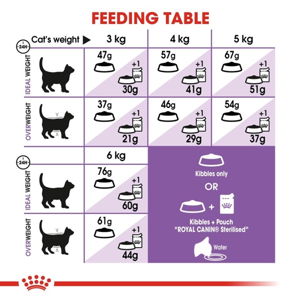 Royal Canin Regular Sterilised 37 Adult Dry Cat Food 4 download 3 25