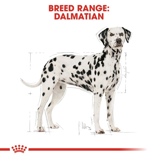 Royal Canin Dalmatian Adult Dry Dog Food 12KG 7 download 3 36