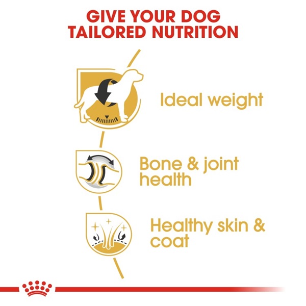 Royal Canin Labrador Retriever Adult Dry Dog Food 3 download 3 44