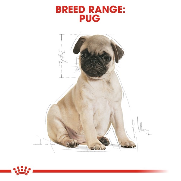 Royal Canin Pug Puppy Dry Food 1.5kg 5 download 3 48