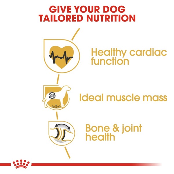 Royal Canin Rottweiler Adult Dry Dog Food 12kg 3 download 3 49