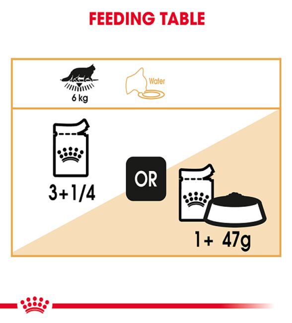 Royal Canin Maine Coon Adult Wet Cat Food 4 download 3