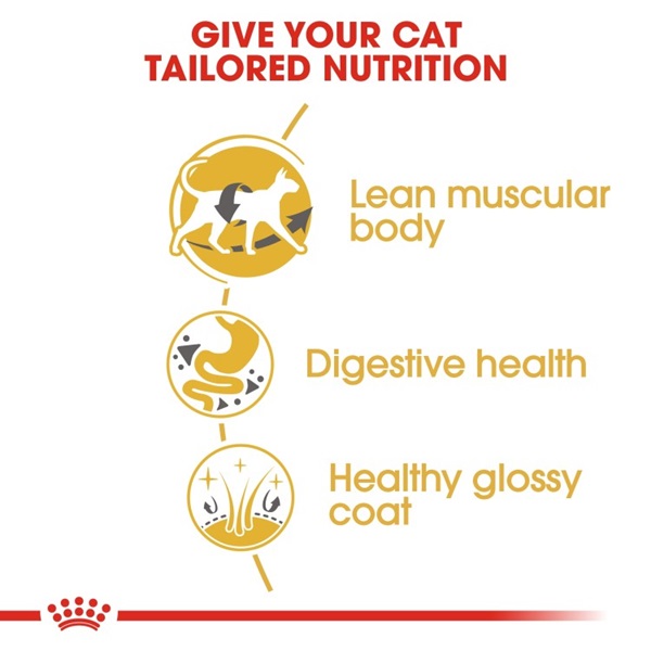 Royal Canin Siamese Adult Dry Cat Food 2KG 3 download 4 26
