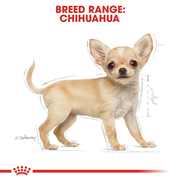 Royal Canin Chihuahua Puppy Dry Food 1.5KG 8 download 4 33