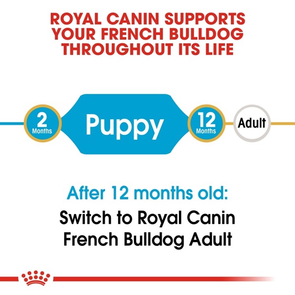 Royal Canin Puppy French Bulldog Dry Dog Food 3kg 6 download 4 39