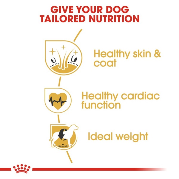 Royal Canin Golden Retriever Adult Dry Dog Food 12kg 3 download 4 42