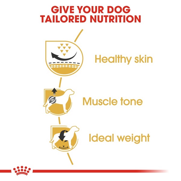 Royal Canin Pug Adult Dry Dog Food 3 download 4 49