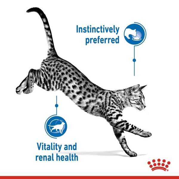 Royal Canin Indoor Sterilised 7+ in Gravy Cat Wet Food 7 download 5 20