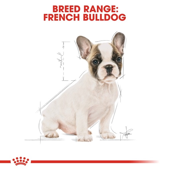Royal Canin Puppy French Bulldog Dry Dog Food 3kg 7 download 5 34
