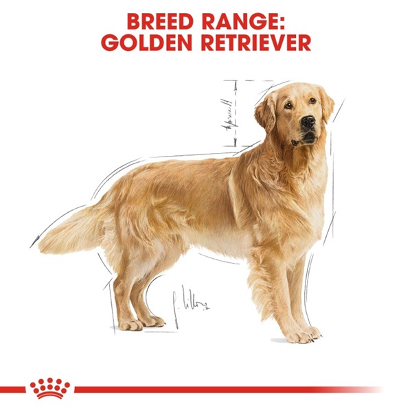Royal Canin Golden Retriever Adult Dry Dog Food 12kg 7 download 5 37