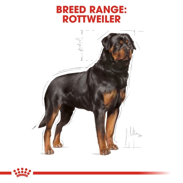 Royal Canin Rottweiler Adult Dry Dog Food 12kg 7 download 5 42