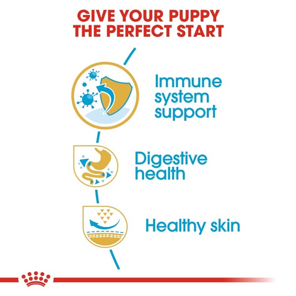 Royal Canin Puppy French Bulldog Dry Dog Food 3kg 3 download 6 17
