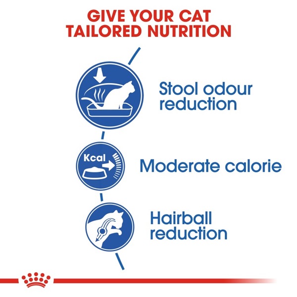 Royal Canin Home Life Indoor 27 Adult Dry Cat Food 4 download 6 5