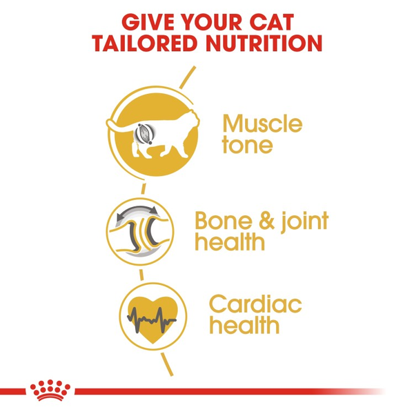 Royal Canin British Shorthair Adult Dry Cat Food 4 download 6