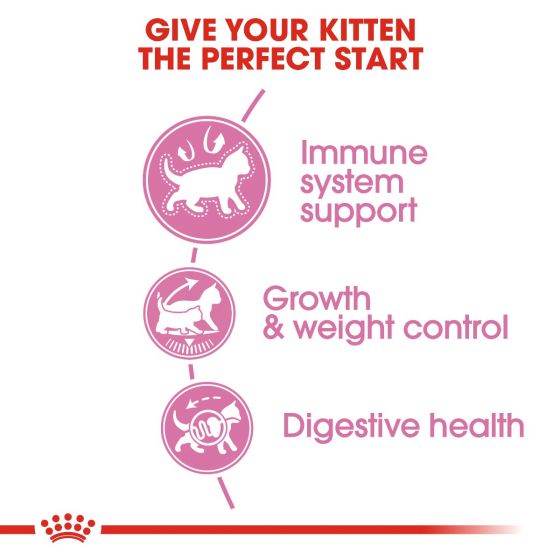 Royal Canin Kitten Sterilised Dry Food 2kg 3 rc fhn kittensterilised cv eretailkit 2