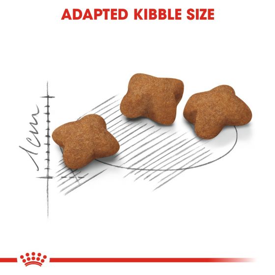 Royal Canin Kitten Sterilised Dry Food 2kg 4 rc fhn kittensterilised cv eretailkit 3