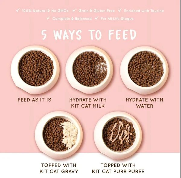 Kit Cat No Grain Kitten Recipe Super Premium Dry Food 2 1 3