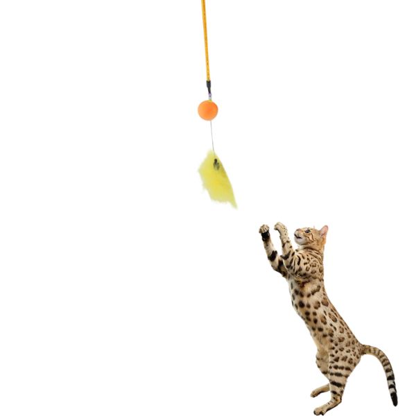 Catry Cat Toy-Cat Wand 2 5 Copy 3