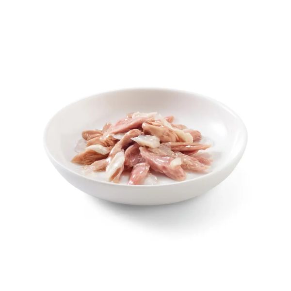 Schesir Cat Can Jelly Tuna With Cod 85g- 14Pcs 2 5 Copy 4