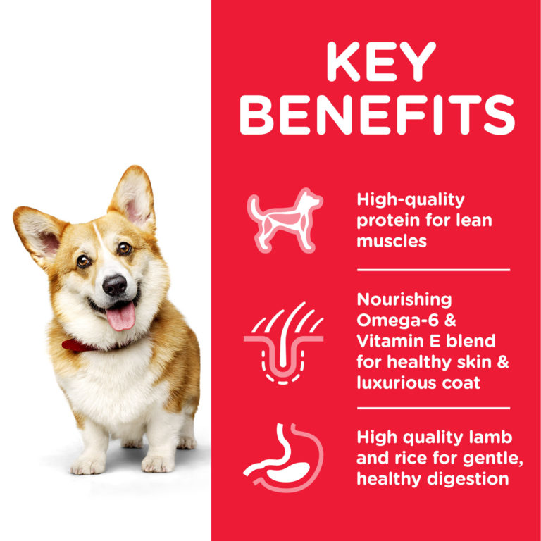 Hill’s Science Plan Small & Mini Adult Dog Food With Chicken(10kg) 2 31a