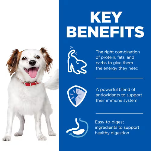 Hill’s Science Plan Small and Mini Adult Dog Mousse (12x200g) 4 34c
