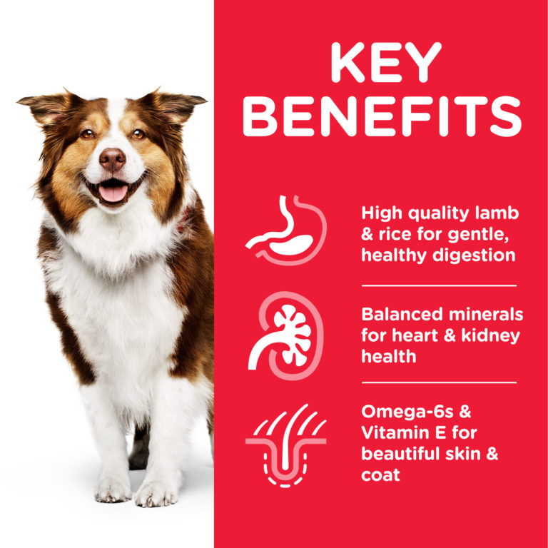 Hill’s Science Plan Medium Mature Adult 7+ Dog Food With Lamb&Rice (2.5kg) 2 50a
