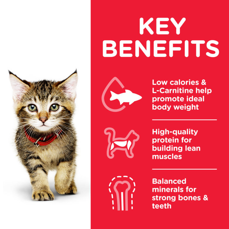 Hill’s Science Plan Kitten Food With Tuna (1.5kg) 2 5a 1